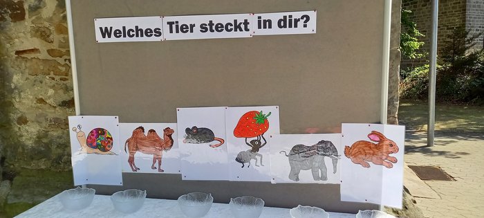 SommerGD3.jpg
